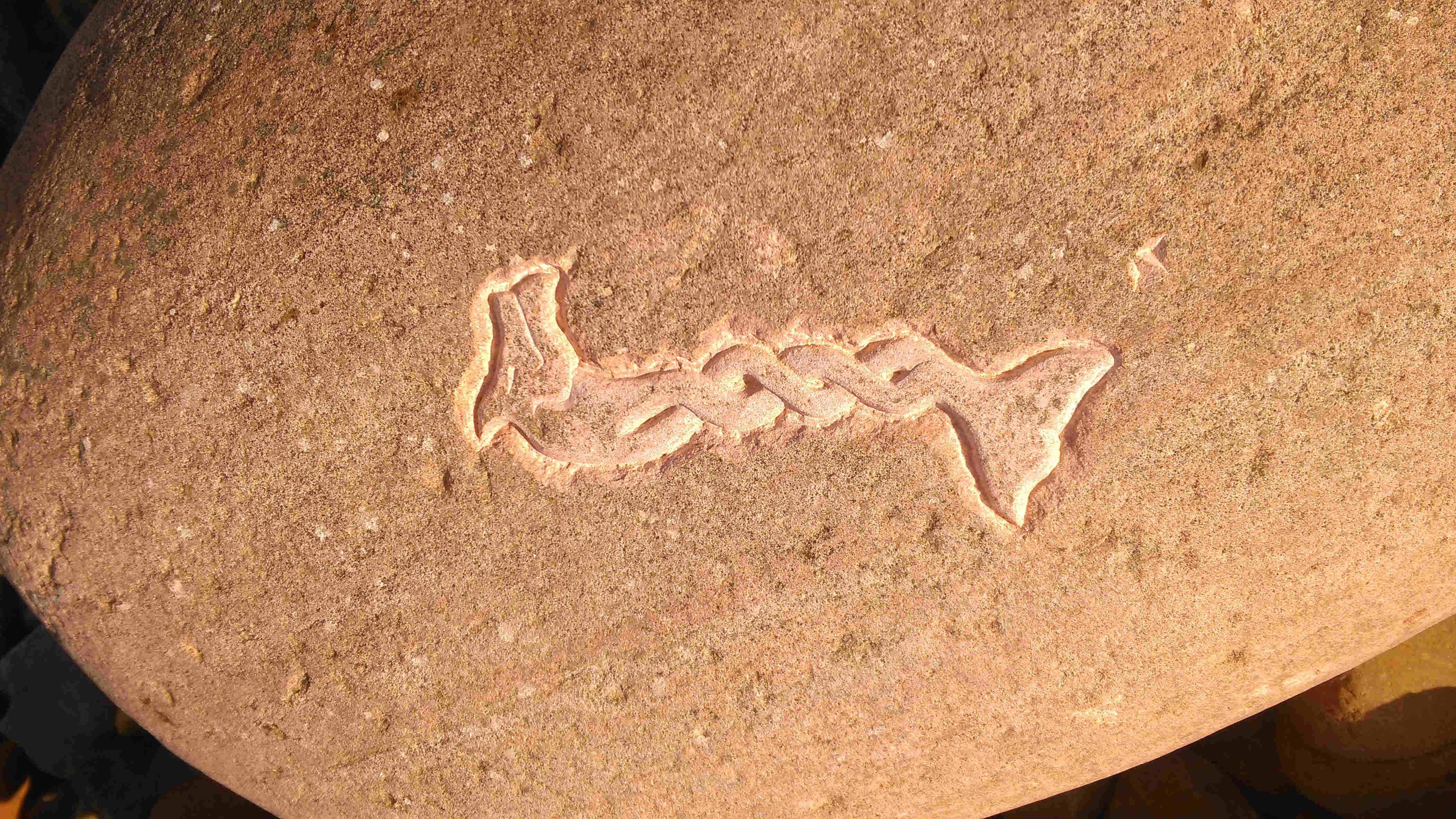 Celtic Seahorse, carved into a rock on Rackwick beach